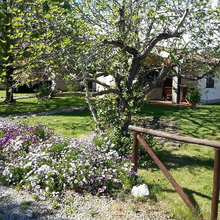 Agriturismo Sicomoro Villa Capalbio Ngoại thất bức ảnh