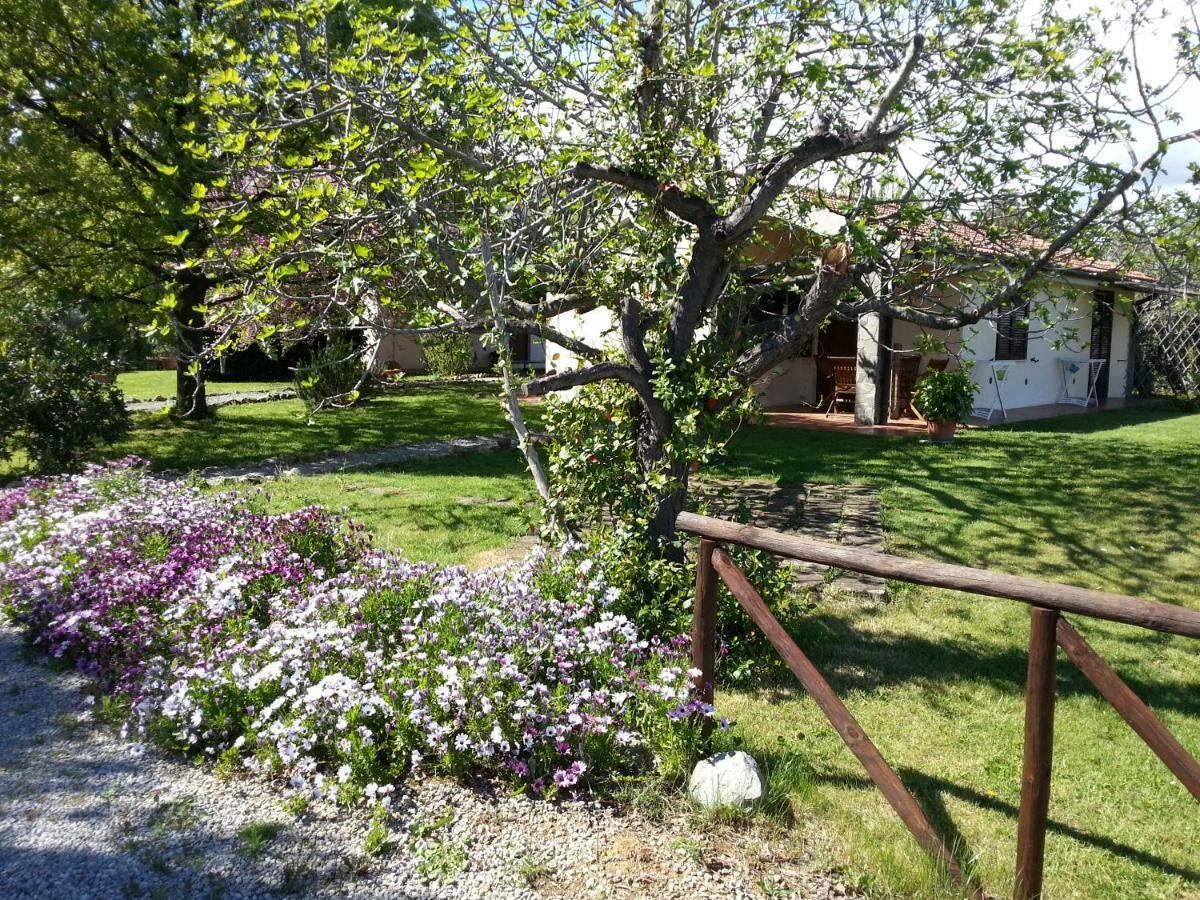 Agriturismo Sicomoro Villa Capalbio Ngoại thất bức ảnh