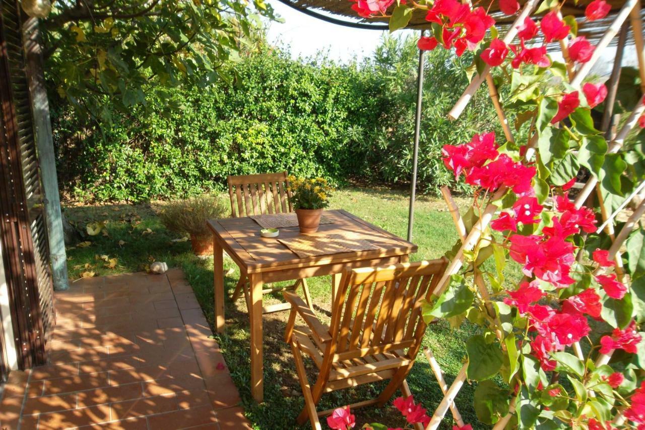 Agriturismo Sicomoro Villa Capalbio Ngoại thất bức ảnh