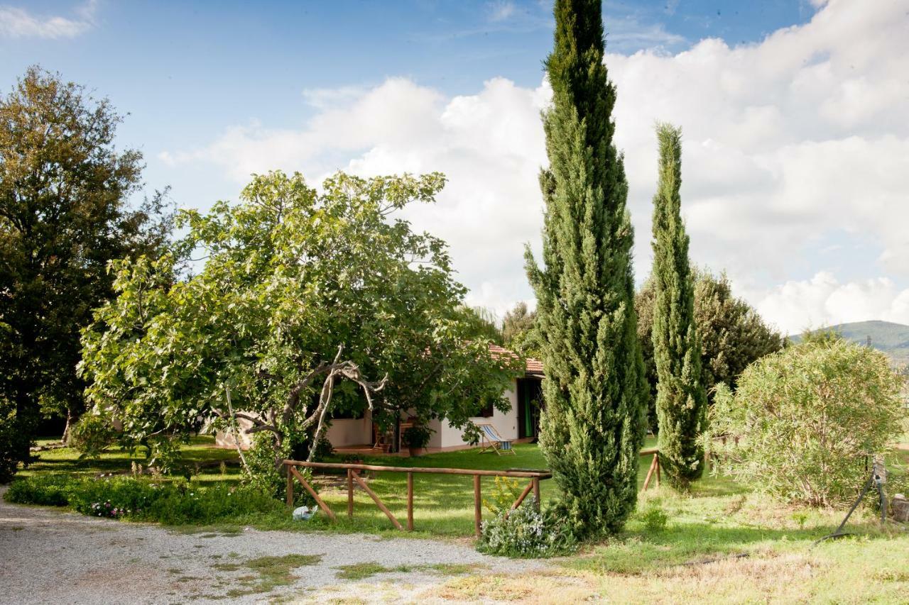 Agriturismo Sicomoro Villa Capalbio Ngoại thất bức ảnh